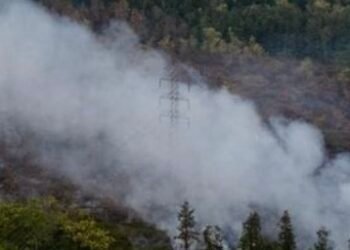 1.487 Hotspot Terdeteksi di Kalimantan, Kalteng Jadi Wilayah Terbanyak dengan 767 Titik