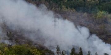 1.487 Hotspot Terdeteksi di Kalimantan, Kalteng Jadi Wilayah Terbanyak dengan 767 Titik