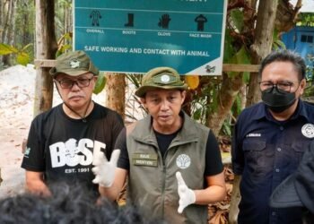 emerintah Perkuat Satgas Penyelamatan Satwa Liar untuk Lindungi Orangutan dari Dampak Karhutla Kalteng