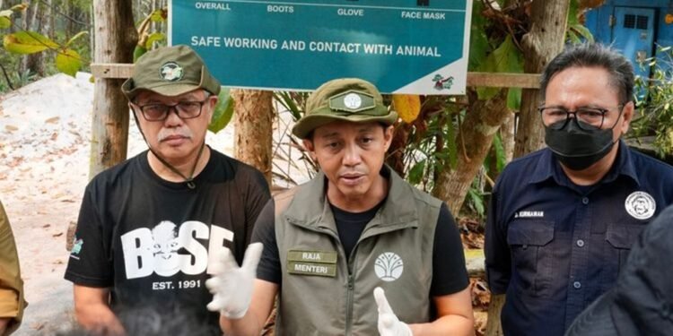 emerintah Perkuat Satgas Penyelamatan Satwa Liar untuk Lindungi Orangutan dari Dampak Karhutla Kalteng