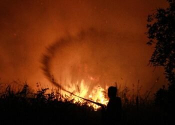 Karhutla Kalteng Belum Mereda, 77 Ribu Warga Terdampak ISPA dan Ekonomi Ikut Lesu