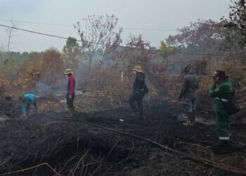 Kalteng Siagakan 10.700 Personel Gabungan Hadapi Peningkatan Karhutla di Musim Kemarau 2026