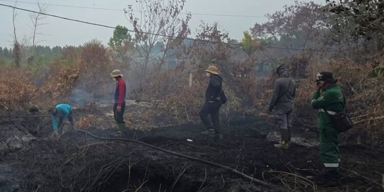 Kalteng Siagakan 10.700 Personel Gabungan Hadapi Peningkatan Karhutla di Musim Kemarau 2026
